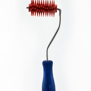 Jež valjak – manji